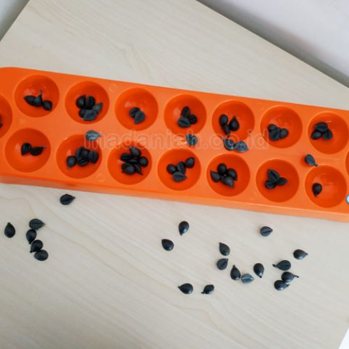 Distributor Permainan Tradisional Dakon Atau Congklak Banten