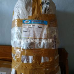 Toko Alat Peraga Edukatif Denpasar Timur