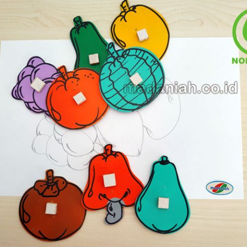 Distributor Alat Peraga Edukatif Patrun Menjiplak Buah Maluku