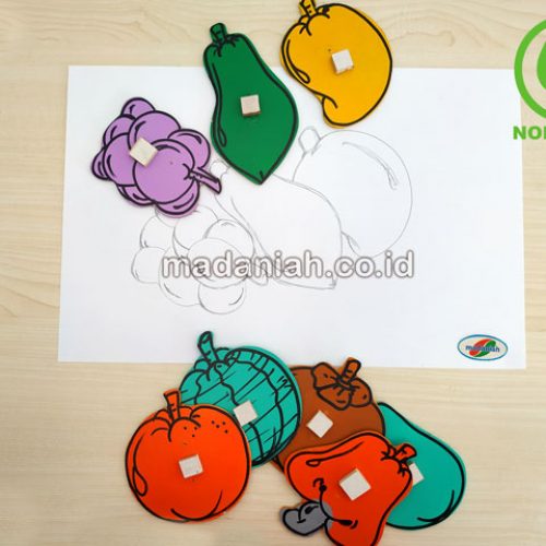 Distributor Alat Peraga Edukatif Patrun Menjiplak Buah Papua