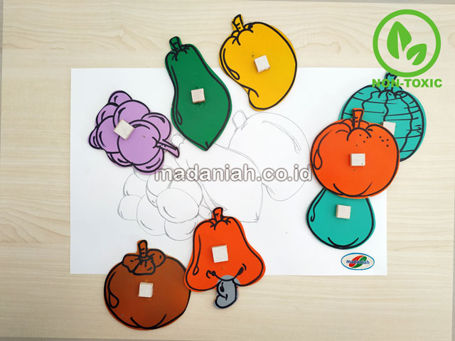Distributor Alat Peraga Edukatif Patrun Menjiplak Buah Sulawesi Tengah