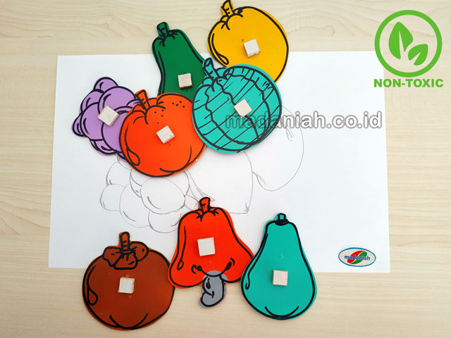 Distributor Alat Peraga Edukatif Patrun Menjiplak Buah Sulawesi Utara