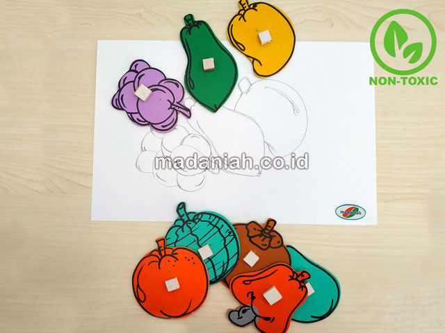 Distributor Alat Peraga Edukatif Patrun Menjiplak Buah Yogyakarta