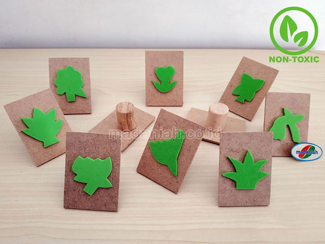 Distributor Alat Peraga Edukatif Stempel Bunga Bengkulu