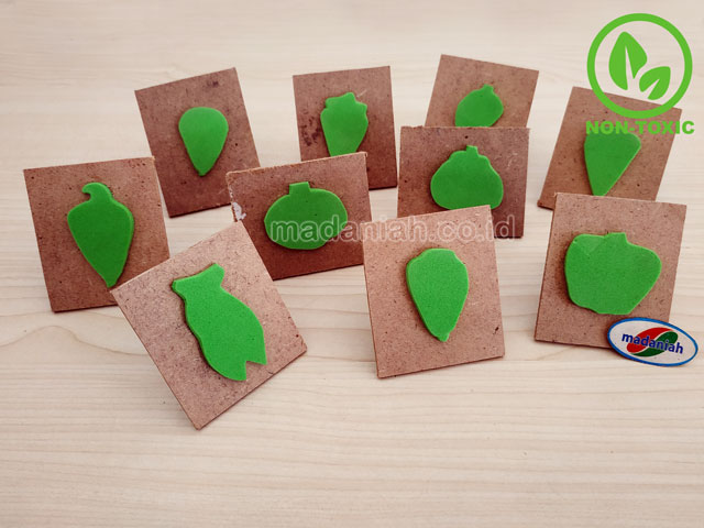Distributor Alat Peraga Edukatif Stempel Sayur dan Buah Kalimantan Selatan