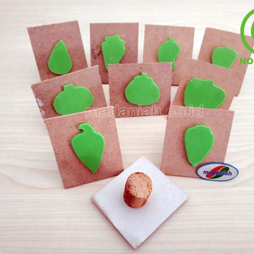Distributor Alat Peraga Edukatif Stempel Sayur dan Buah Sulawesi Tengah