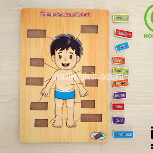 Distributor Puzzle Kayu Anatomi Tubuh Jambi