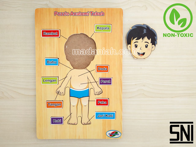 Distributor Puzzle Kayu Anatomi Tubuh Kalimantan Tengah Distributor Puzzle Kayu Anatomi Tubuh Kalimantan Tengah