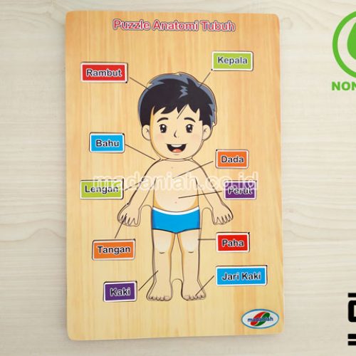 Distributor Puzzle Kayu Anatomi Tubuh Kepulauan Riau
