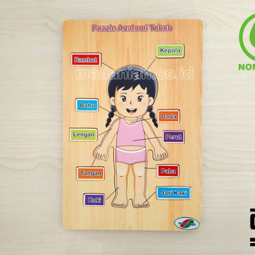 Distributor Puzzle Kayu Anatomi Tubuh Maluku