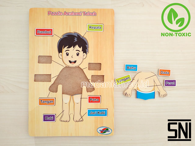 Distributor Puzzle Kayu Anatomi Tubuh Maluku Utara Distributor Puzzle Kayu Anatomi Tubuh Maluku Utara