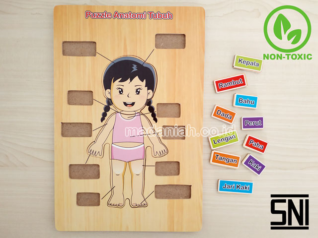 Distributor Puzzle Kayu Anatomi Tubuh Nusa Tenggara Timur
