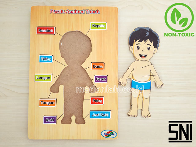 Distributor Puzzle Kayu Anatomi Tubuh Sulawesi Barat