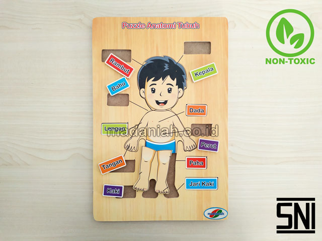 Distributor Puzzle Kayu Anatomi Tubuh Sulawesi Selatan Distributor Puzzle Kayu Anatomi Tubuh Sulawesi Selatan