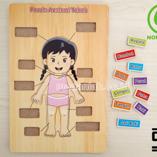 Distributor Puzzle Kayu Anatomi Tubuh Sulawesi Tengah