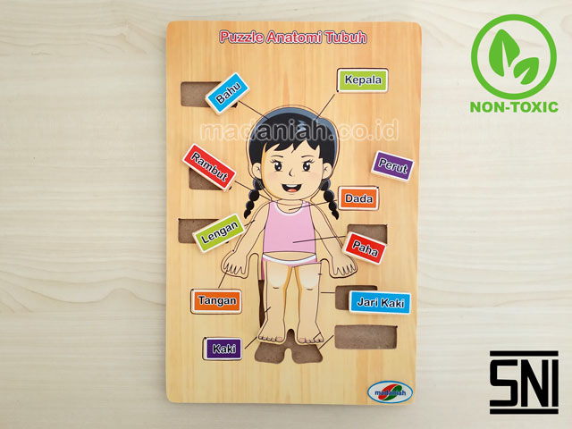 Distributor Puzzle Kayu Anatomi Tubuh Sulawesi Utara Distributor Puzzle Kayu Anatomi Tubuh Sulawesi Utara