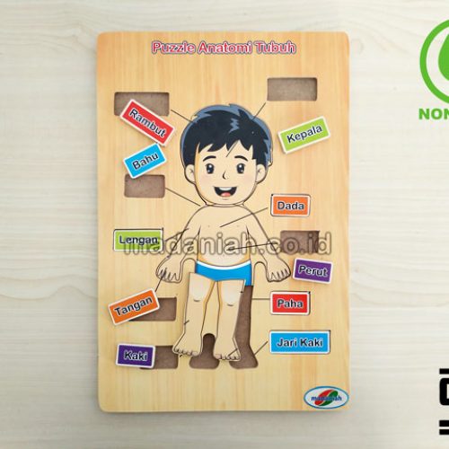 Distributor Puzzle Kayu Anatomi Tubuh Banten