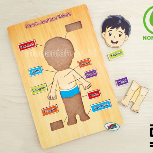 Distributor Puzzle Kayu Anatomi Tubuh Gorontalo