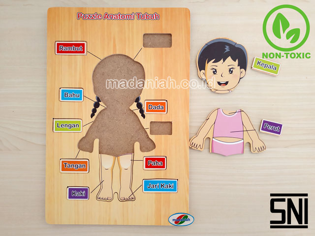 Distributor Puzzle Kayu Anatomi Tubuh Kalimantan Utara