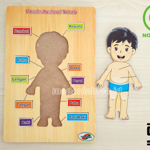 Distributor Puzzle Kayu Anatomi Tubuh Lampung