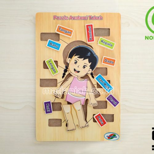 Distributor Puzzle Kayu Anatomi Tubuh Riau