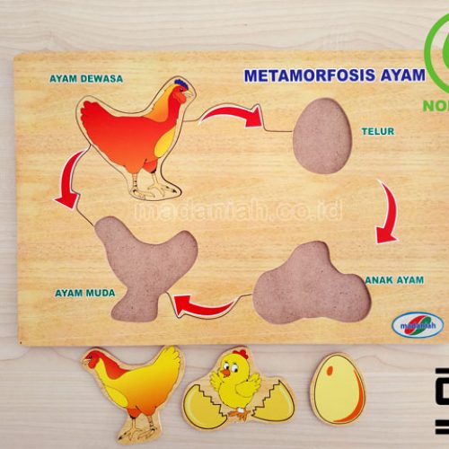 Distributor Puzzle Kayu Metamorfosa Ayam Banten