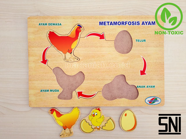 Distributor Puzzle Kayu Metamorfosa Ayam Banten