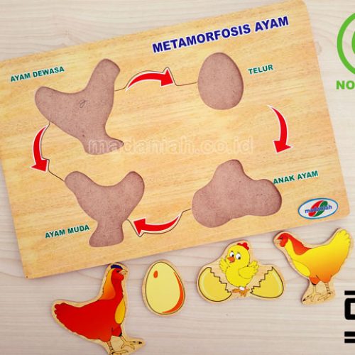 Distributor Puzzle Kayu Metamorfosa Ayam Bengkulu