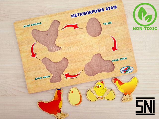 Distributor Puzzle Kayu Metamorfosa Ayam Bengkulu