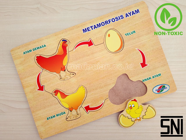 Distributor Puzzle Kayu Metamorfosa Ayam Jakarta