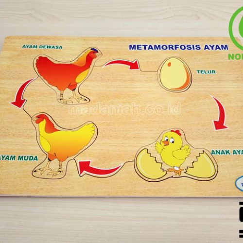 Distributor Puzzle Kayu Metamorfosa Ayam Jawa Tengah Distributor Puzzle Kayu Metamorfosa Ayam Jawa Tengah