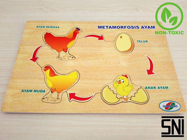 Distributor Puzzle Kayu Metamorfosa Ayam Jawa Tengah