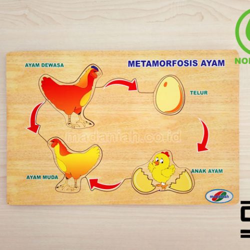 Distributor Puzzle Kayu Metamorfosa Ayam Kalimantan Utara Distributor Puzzle Kayu Metamorfosa Ayam Kalimantan Utara
