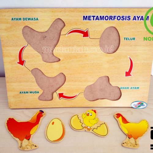 Distributor Puzzle Kayu Metamorfosa Ayam Nusa Tenggara Timur Distributor Puzzle Kayu Metamorfosa Ayam Nusa Tenggara Timur