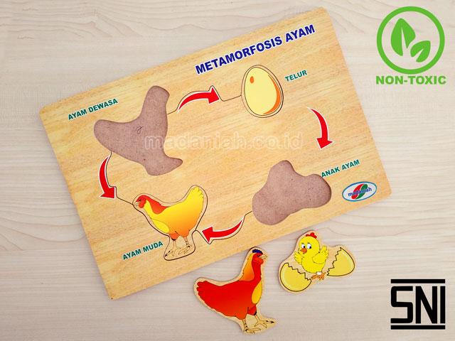 Distributor Puzzle Kayu Metamorfosa Ayam Papua
