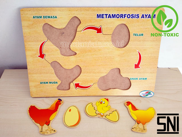 Distributor Puzzle Kayu Metamorfosa Ayam Riau