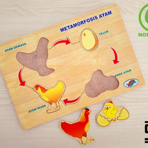Distributor Puzzle Kayu Metamorfosa Ayam Sulawesi Selatan Distributor Puzzle Kayu Metamorfosa Ayam Sulawesi Selatan