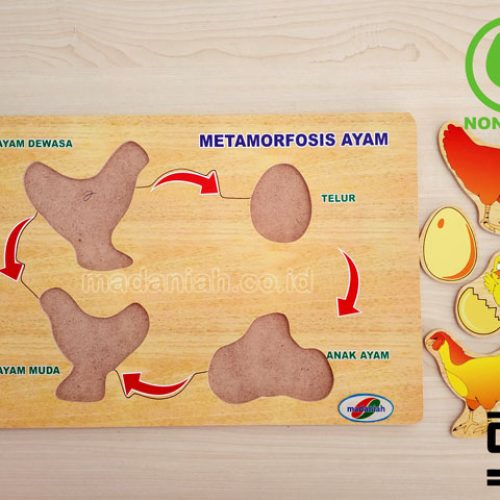 Distributor Puzzle Kayu Metamorfosa Ayam Sumatera Utara