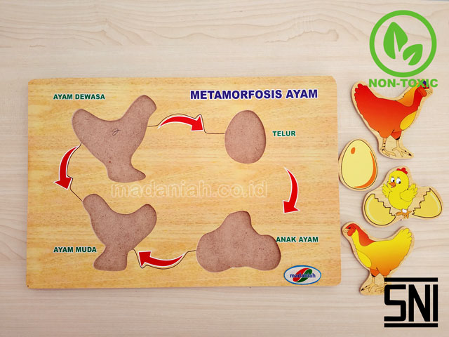 Distributor Puzzle Kayu Metamorfosa Ayam Sumatera Utara