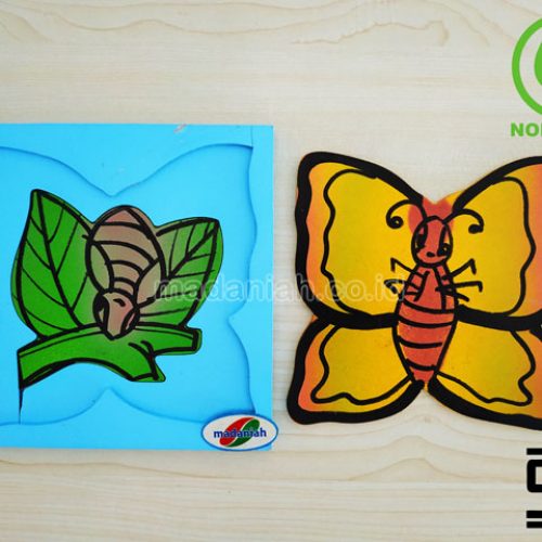 Distributor Puzzle Kayu Metamorfosa Kupu-Kupu Kalimantan Timur