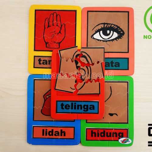 Distributor Puzzle Kayu Panca Indra Nusa Tenggara Timur