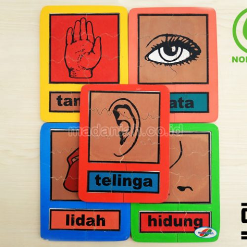 Distributor Puzzle Kayu Panca Indra Papua Barat