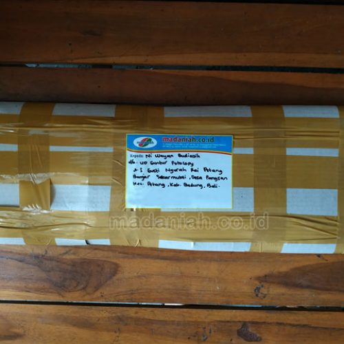 Toko Alat Peraga Edukatif Petang Badung Bali