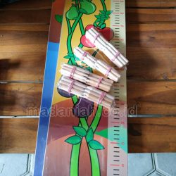 Toko Alat Peraga Edukatif Petang Badung Bali