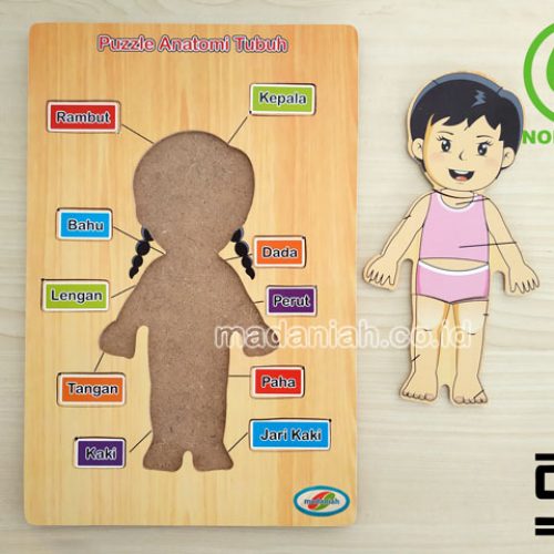 Distributor Puzzle Kayu Anatomi Tubuh Bali