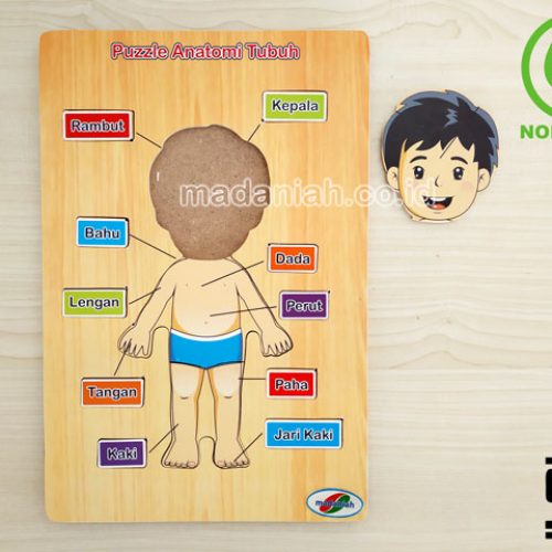 Distributor Puzzle Kayu Anatomi Tubuh Jakarta