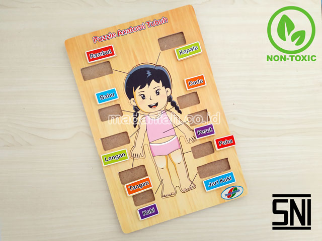 Distributor Puzzle Kayu Anatomi Tubuh Kalimantan Timur