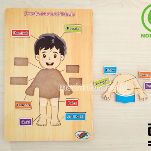 Distributor Puzzle Kayu Anatomi Tubuh Aceh