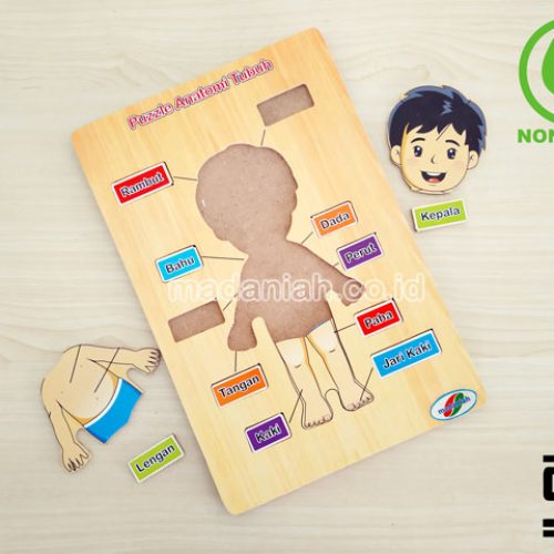 Distributor Puzzle Kayu Anatomi Tubuh Jawa Timur