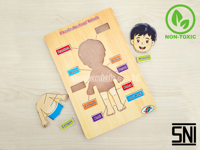 Distributor Puzzle Kayu Anatomi Tubuh Jawa Timur